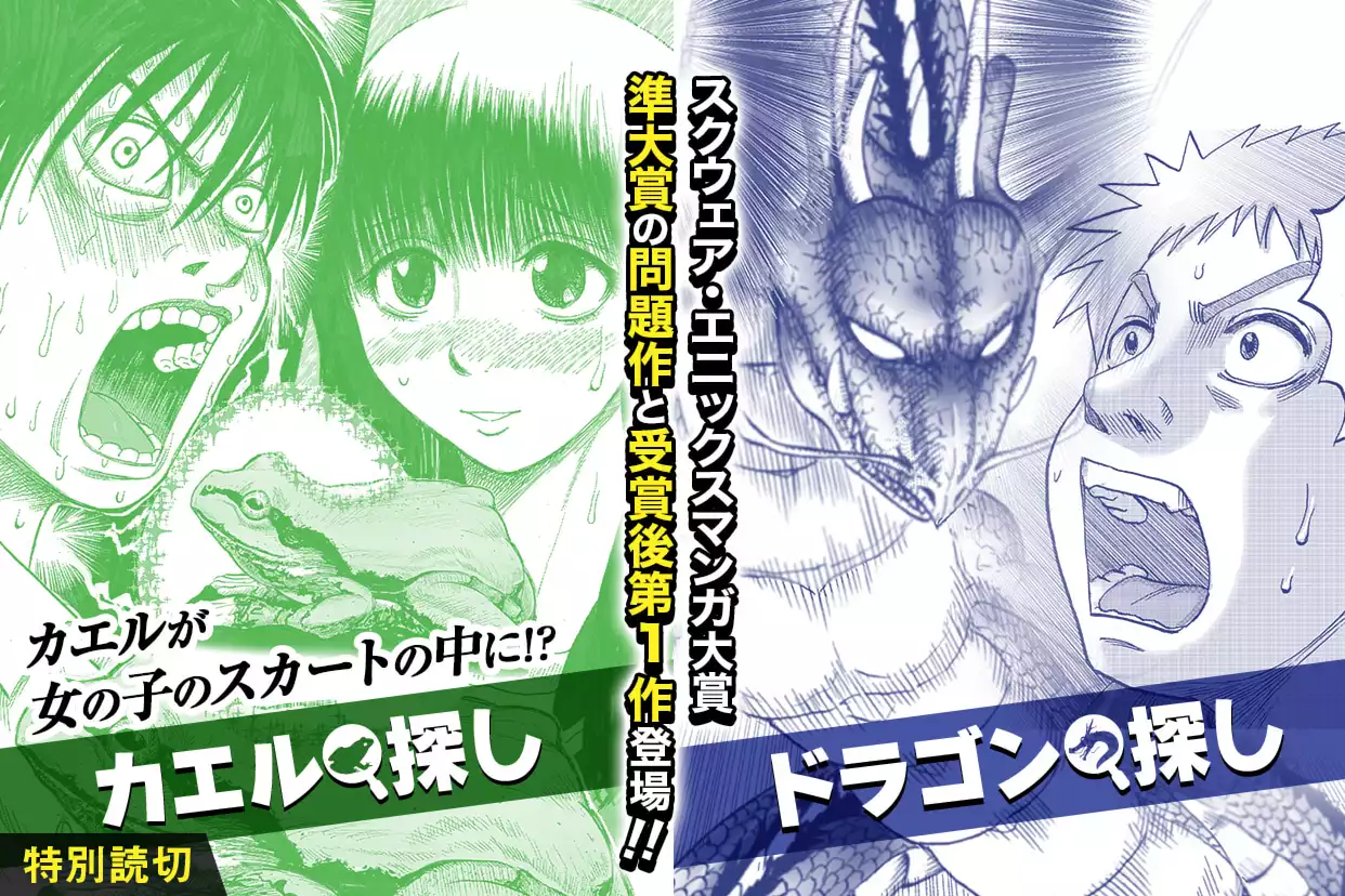 カエル探し／ドラゴン探し