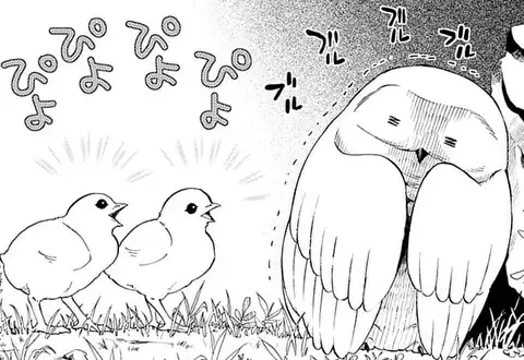 次の話のサムネイル