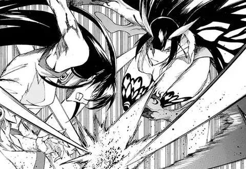 アカメが斬る！零（タカヒロ）を無料で読むならマンガUP