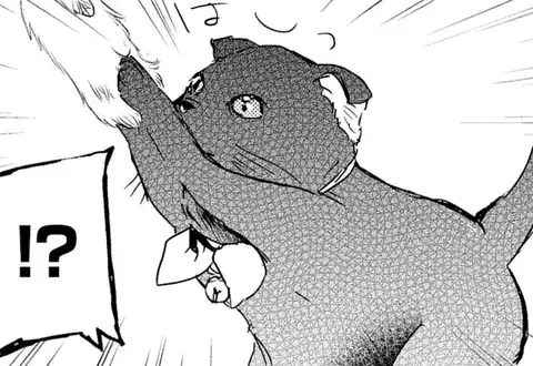 次の話のサムネイル