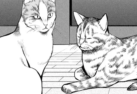 次の話のサムネイル