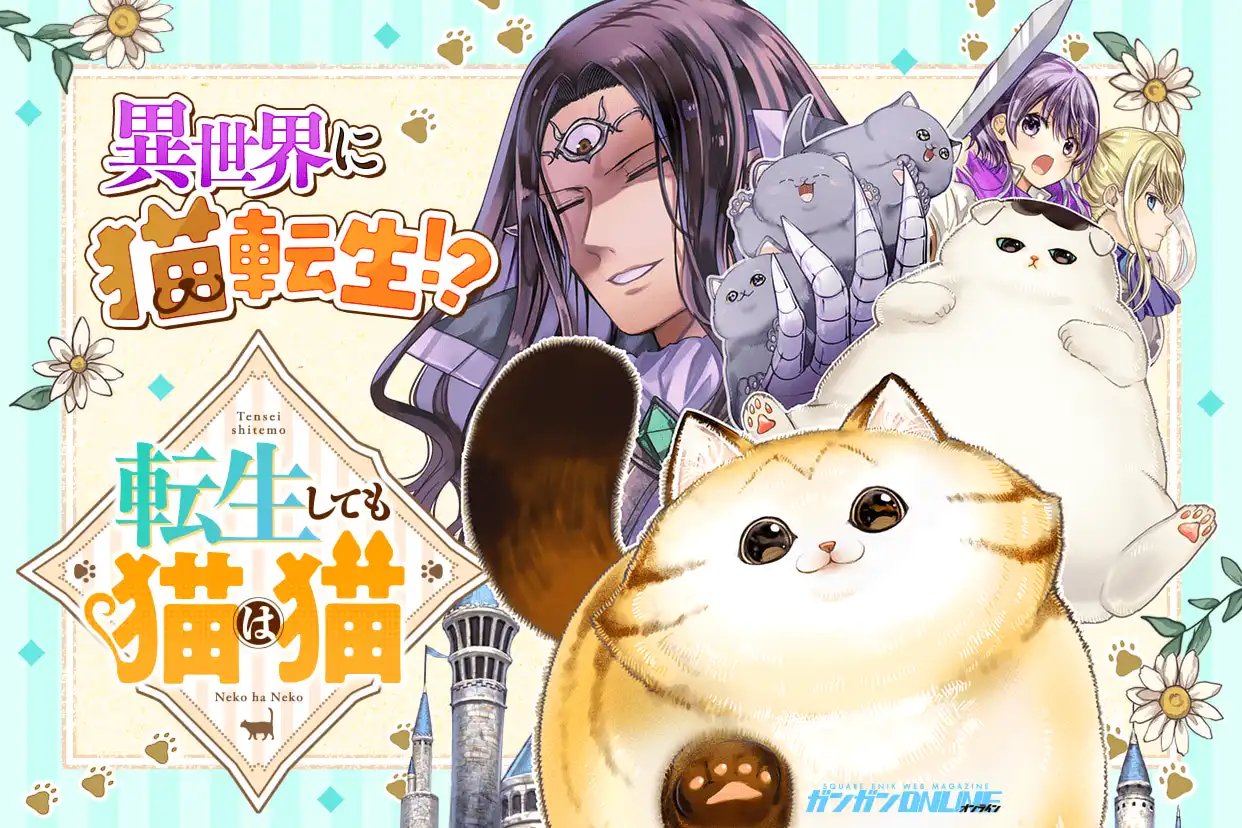 転生しても猫は猫