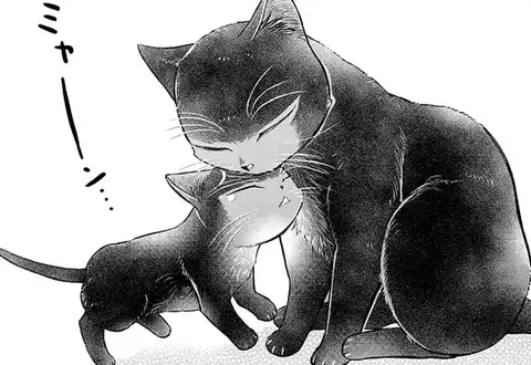 次の話のサムネイル