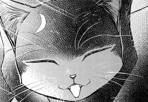 チャプターサムネイル