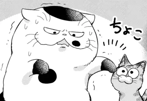 次の話のサムネイル