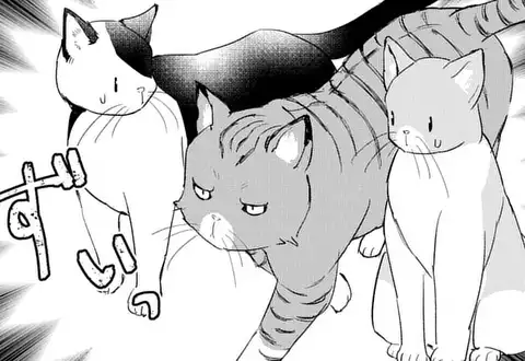 次の話のサムネイル