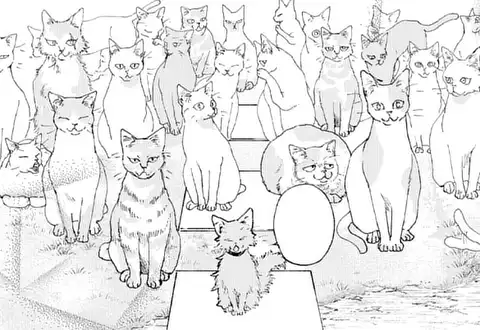 次の話のサムネイル