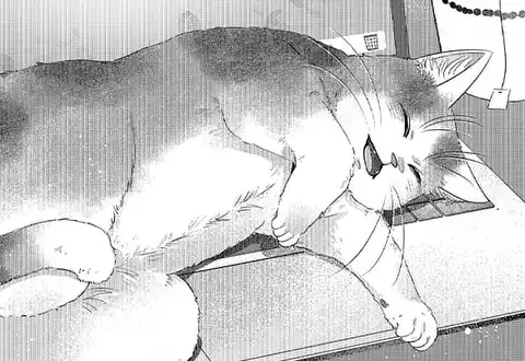 次の話のサムネイル