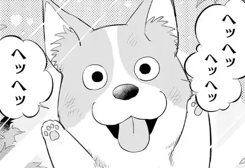 次の話のサムネイル