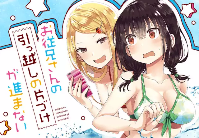 お従兄さんの引っ越しの片づけが進まない