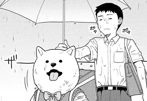 次の話のサムネイル