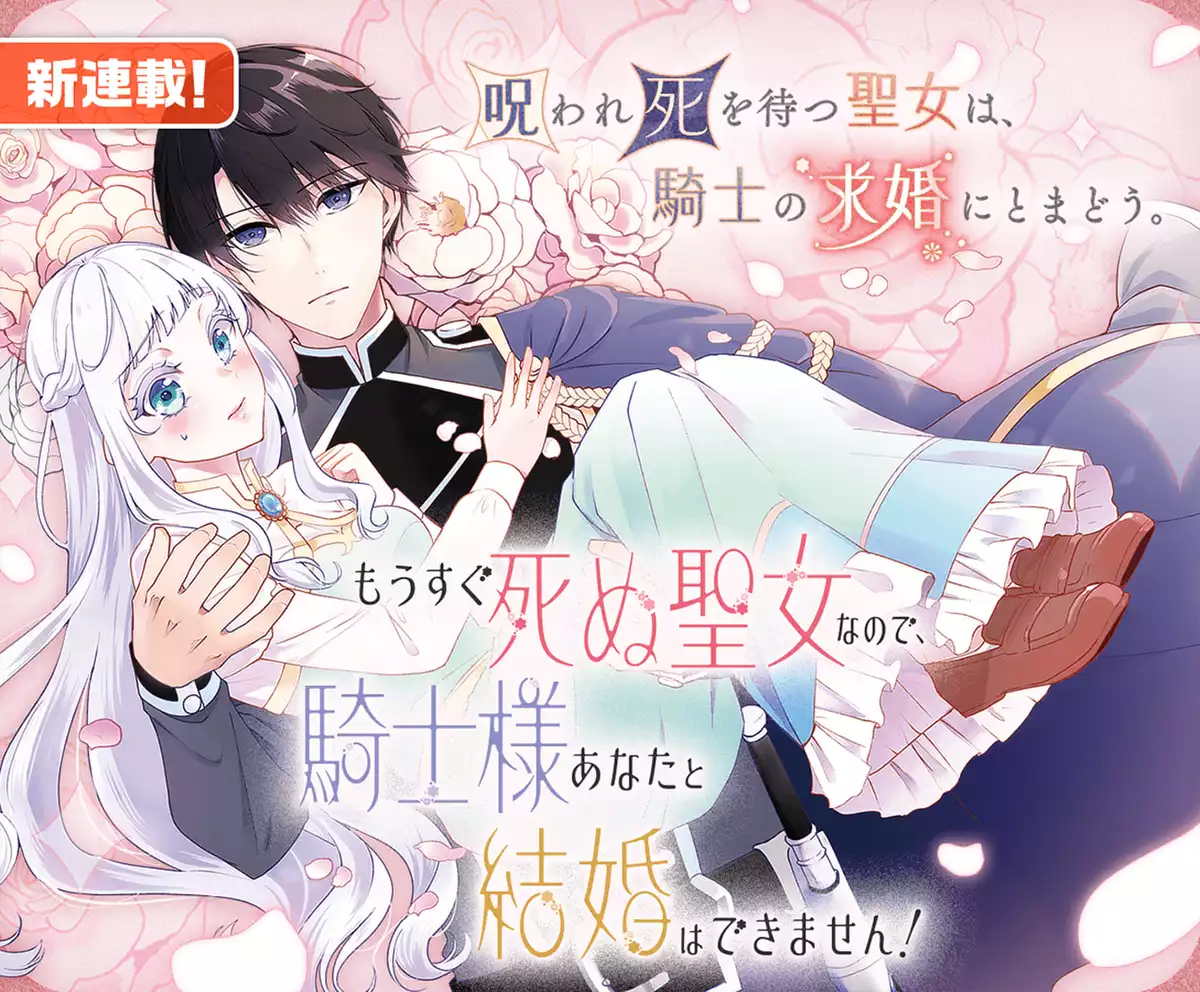 メインカルーセル