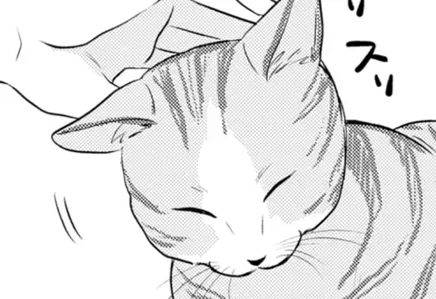 チャプターサムネイル