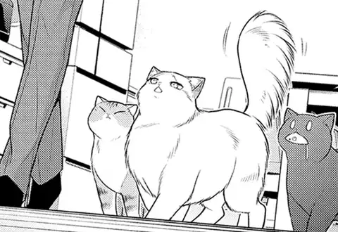 チャプターサムネイル
