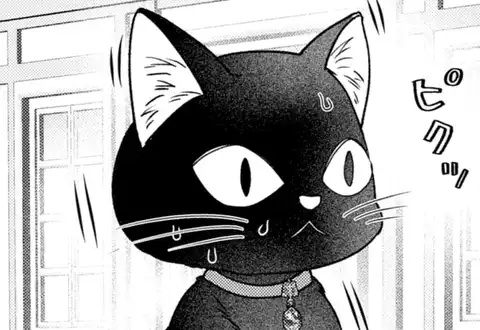 家を追われた令嬢は黒猫王子のお気に入り～呪われた黒猫は姿を消した